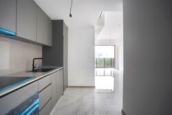 The Landmark (D3), Condominium #554572601